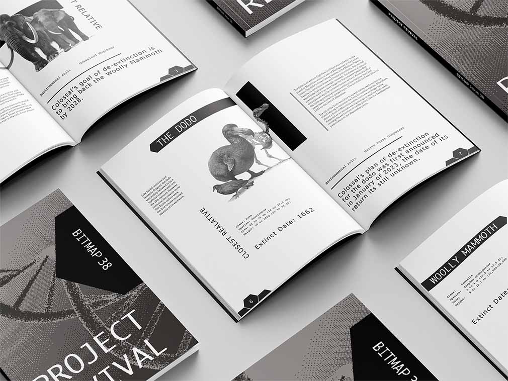 project mockup 1